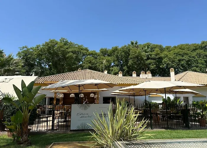 - Puerto Banus マルベーリャ