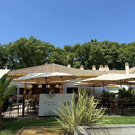 - Puerto Banus מארבלה